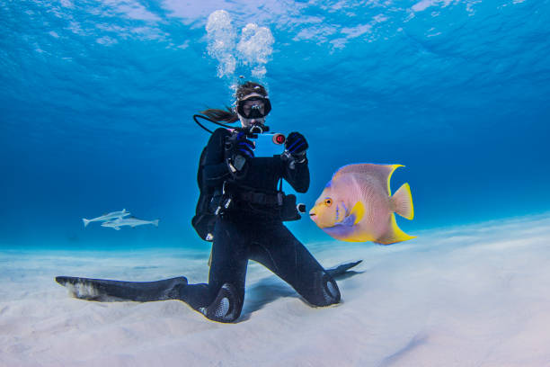 cancun reef diving